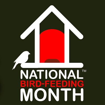 National Bird Feeding Month – Naturally Educational